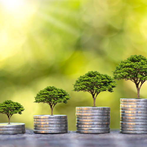 🌱 Scaling Your Business Without Losing Your Personal Touch