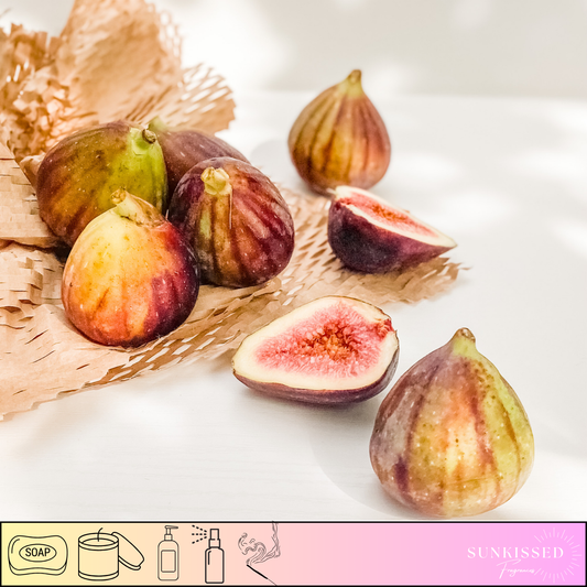 SKF Original GOLDEN FIGS & CEDAR -Fragrance Oil