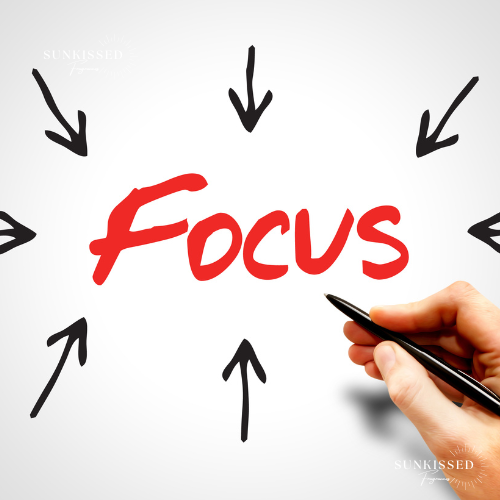 🛍️ Should You Expand Your Product Line or Focus on Bestsellers?