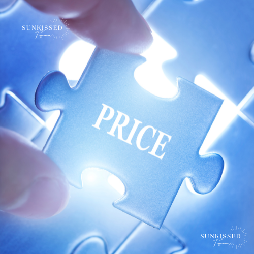 Pricing Products: Strategies for Retail and Wholesale