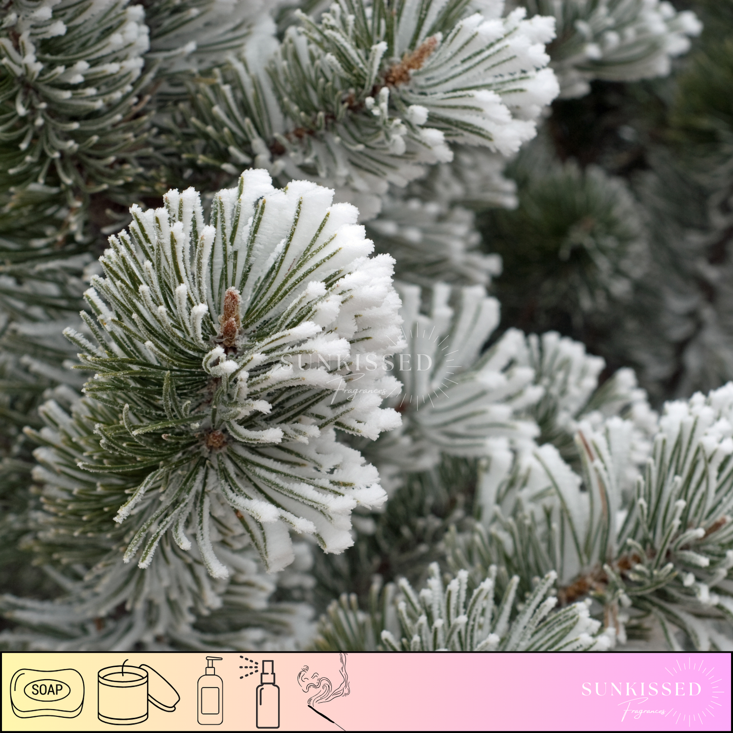 SNOW KISSED CHRISTMAS TREES-Fragrance Oil